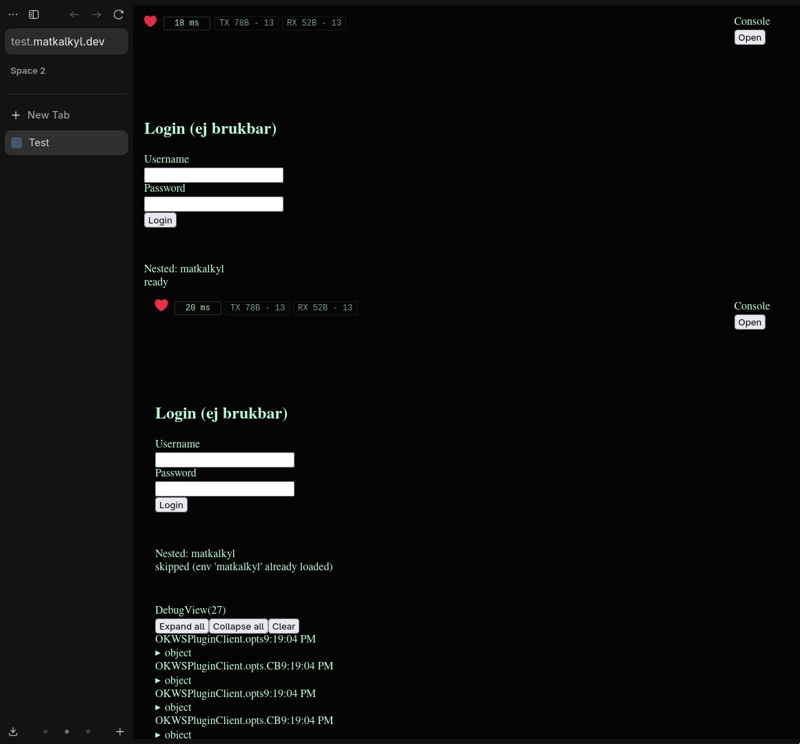 Bild pÄ rekursivt system